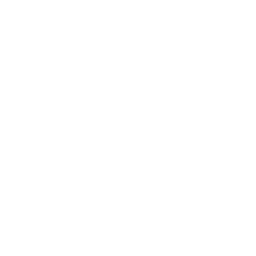 venicestreetball