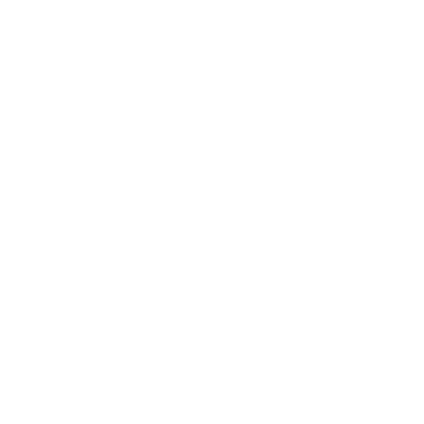 Venice Streetball